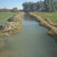 زمین کشاورزی باتمام امکانات|اجارهٔ دفتر صنعتی، کشاورزی، تجاری|نیمروز, |دیوار