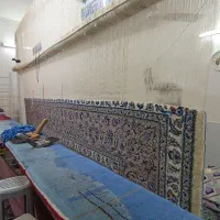 قالی دستباف ۱۲متری نوزده گل معرفتی بوم کرم