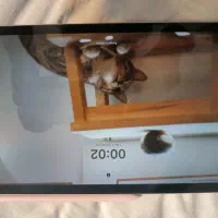 تبلت سامسونگ Tab s6 lite|تبلت|کرج, حسن آباد|دیوار