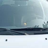 تیبا صندوقدار