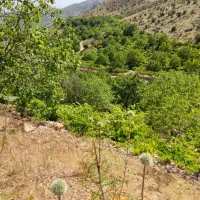 باغ سیسخت|فروش زمین و ملک کلنگی|سی‌سخت, |دیوار