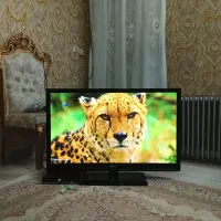 تلوزیون 42 اینچ الجی ساخت کره|تلویزیون و پروژکتور|اندیشه, اندیشه فاز ۳|دیوار