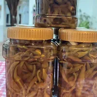 ترشی کلم و فلفل و رب خونگی|خوردنی و آشامیدنی|مشهد, فدک|دیوار
