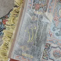 دوتا فرش ۹ متری ویک دونه ۶ متری ترکم ۳۰۰۰و۱۰۰۰شونه|فرش|پاکدشت, پاکدشت (مامازند)|دیوار