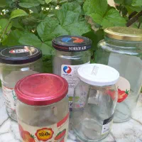 شیشه و ظرف ماست