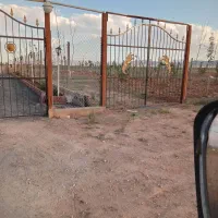زمین باغی ۲۵۰و۵۰۰و۱۰۰۰ متری روستای محمدیه|فروش زمین و ملک کلنگی|اراک, |دیوار