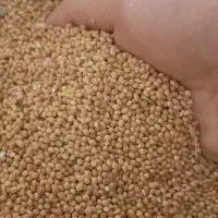 ارزن|لوازم جانبی حیوانات|سبزوار, ایزی شهر|دیوار