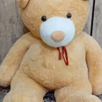 عروسک خرسی|اسباببازی|یاسوج, |دیوار