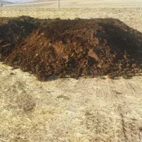 کود حیوانی گوسفندی سوخته|خدمات باغبانی و درختکاری|خرمآباد, |دیوار