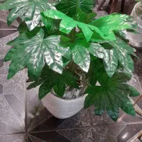 گلدان کنارسالنی|گل مصنوعی|قم, نیروگاه|دیوار