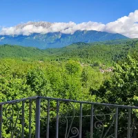 ویلای ۲خوابه جنگلی (حلیمه جان گیلان)|اجارهٔ کوتاهمدت ویلا و باغ|توتکابن, |دیوار