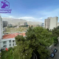 ۷۵متردیپلمات نشین کارامیان/درب متروقیطریه/موسفید|فروش آپارتمان|تهران, قیطریه|دیوار