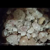 ژویه|خدمات باغبانی و درختکاری|تهران, آبشار|دیوار