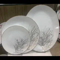 شرکت ظروف ارکوپال