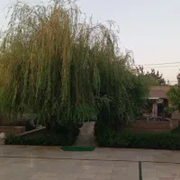 استخدام نیروی نظافت خانم