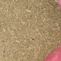 ۲۰تن گندم پیشگام|حراج|گیان, |دیوار