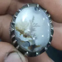 انگشتر دستساز شجر طبیعی