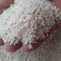 نیمدانه هاشمی  از شهرستان شفت چوبر ۱۲ کیلو|خوردنی و آشامیدنی|رشت, پل تالشان|دیوار