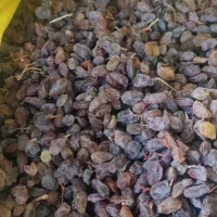 کشمش آفتاب خشک شیراز بدونه تیز آب