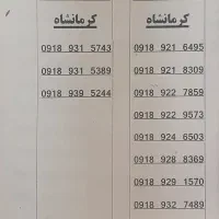 ۰۹۱۸.۹۳۱.۵۷۴۳