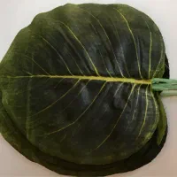 برگ|گل مصنوعی|تبریز, |دیوار