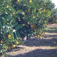 فروش-خانه-روستایی-با-سند-تک-برگ