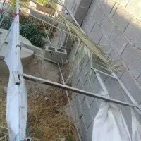 ۲عددمیز میوه تربار فروشی|فروشگاه و مغازه|برازجان, |دیوار