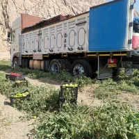 داف هشت چرخ باری 2020 بدون رنگ