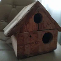 لانه پرندگان جنس چوب روس