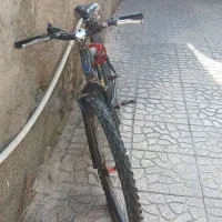 دوچرخه سایز ۲۶|دوچرخه، اسکیت، اسکوتر|ماهدشت, |دیوار