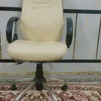 صندلی چرخدار|صندلی و نیمکت|زابل, |دیوار