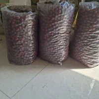 عناب خشک نرم بیرجند