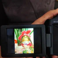 دوربین حرفه ای کنون sx60|دوربین عکاسی و فیلمبرداری|زاهدان, |دیوار