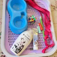 لوازم سگ کوچک