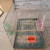 قفس قناری و پران|لوازم جانبی حیوانات|شاهین‌شهر, خانه کارگر|دیوار