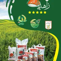 برنج ایرانی نقد و چکی