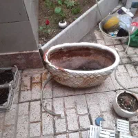 پایه گل و گلدون|گل و گیاه طبیعی|قائن, |دیوار