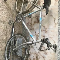 ۲۴دماوند