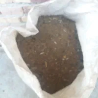 فروش پهن گوسفند برای کود درختان میوه