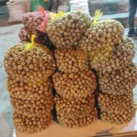 خشکبار|خوردنی و آشامیدنی|قم, ارم|دیوار