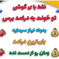کسب کار پر درامد در خانه|استخدام رایانه و فناوری اطلاعات|کدکن, |دیوار