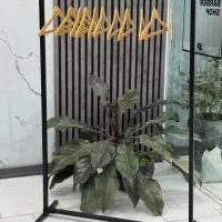 جاکفشی ورگال|جاکفشی، کمد، دراور|مشهد, گلبرگ شمالی|دیوار