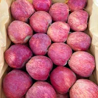 به تعدادی نیرو جهت کار بسته بندی میوه نیازمندیم