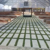 نمایندگی مستقیم چمن مصنوعی از کارخانه|خدمات باغبانی و درختکاری|ایلام, |دیوار