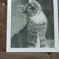 نقاشی سیاه قلم ،زیبا و هنری