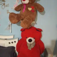 خرس قرمز و بزرگ