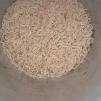 برنج طارم هاشمی