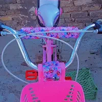 دوچرخه 20 دخترانه صورتی|دوچرخه، اسکیت، اسکوتر|تربت‌حیدریه, کلاته توکلی|دیوار