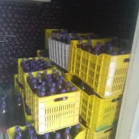 فروش عمده آب انار طبیعی
