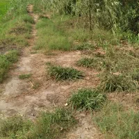 زمین کشاورزی ۲۸۰۰ متر در مناسکلا بابل